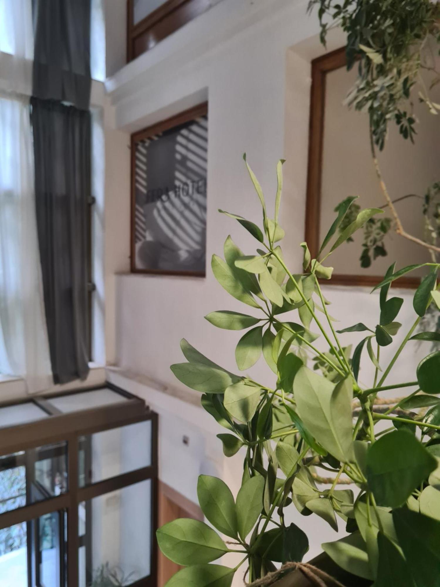 Fera Hotel Beograd Bagian luar foto